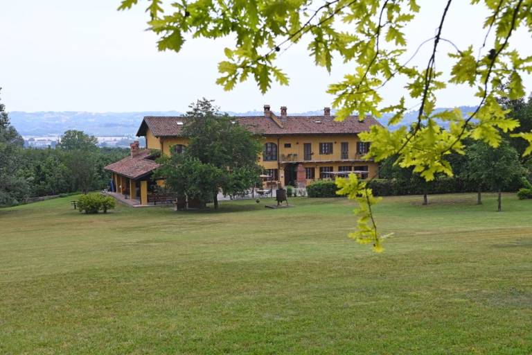 La Ca' d'Olga: Junior Suite Gialla — photo 3