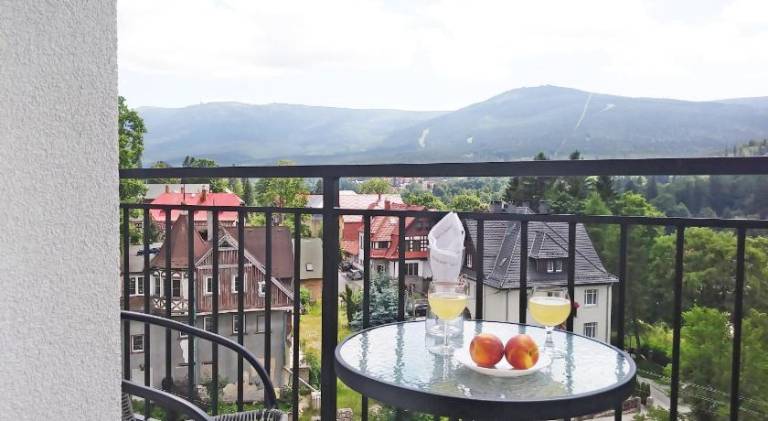 Holiday apartment with terrace | Dogs allowed — photo 4