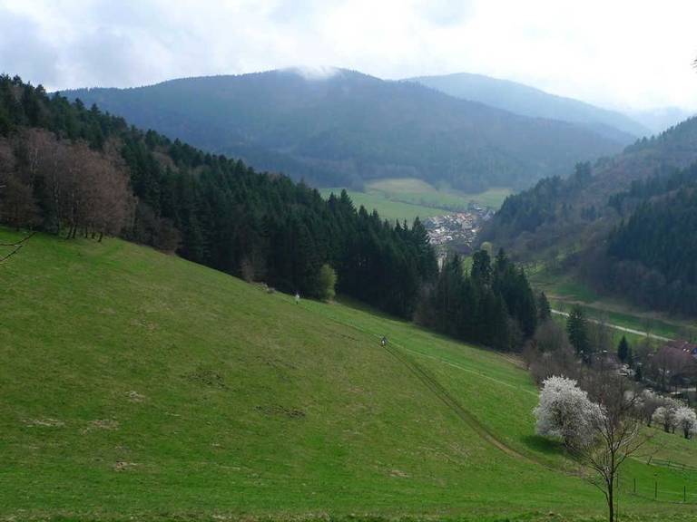 foto30
