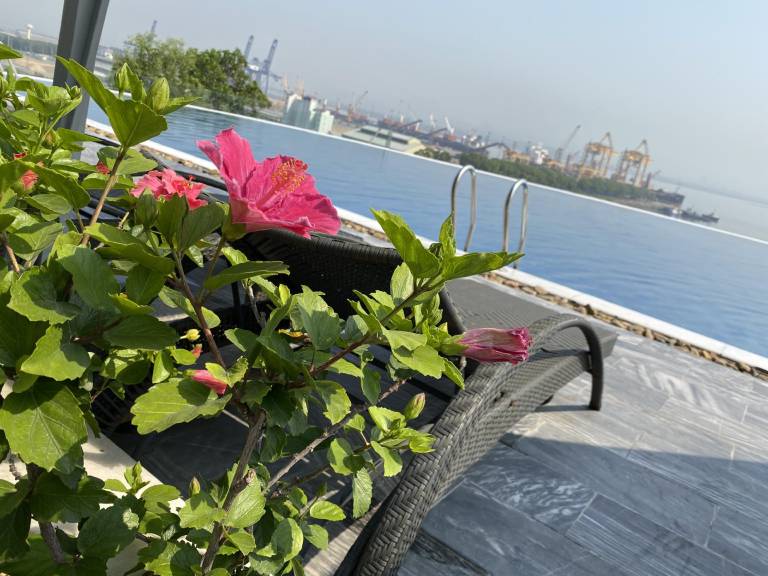 Rental apartment with pool, BBQ & yard | Suitable for remote work | Dogs allowed in Ha Long