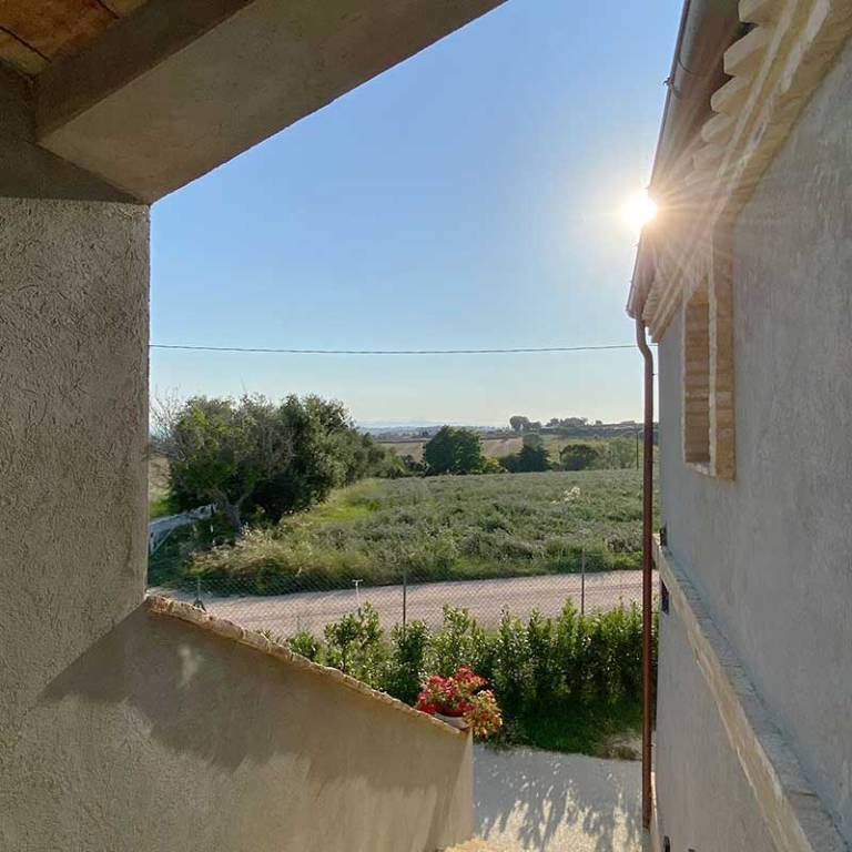 foto6