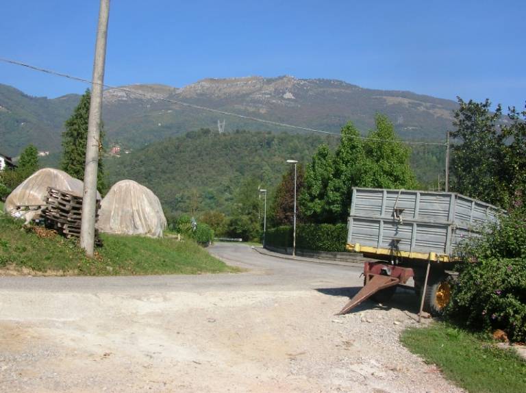 foto42