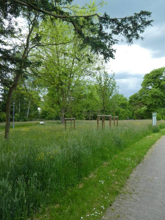 foto26