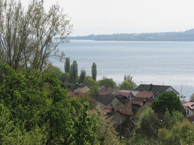 foto17