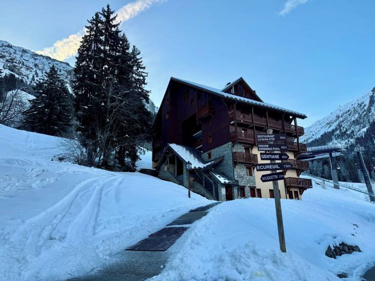 Appartement Oz-en-Oisans