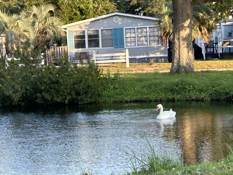 Cabin Myrtle Beach