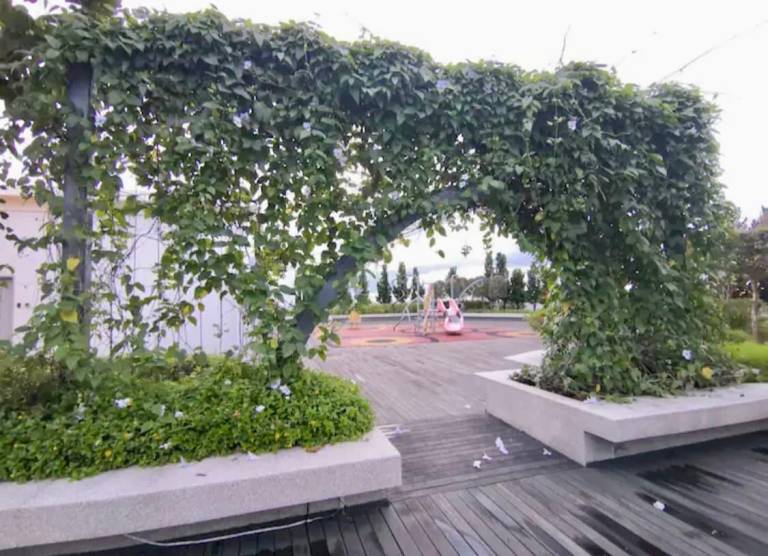 foto11