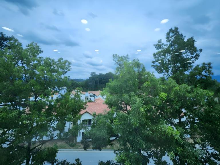 foto42