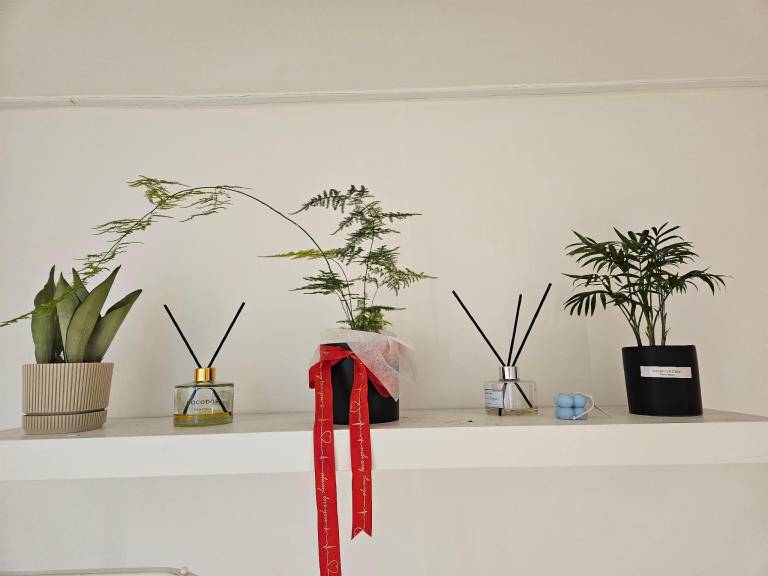 foto7