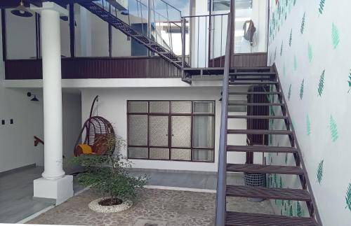 foto9