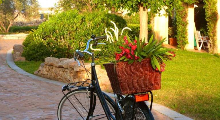 Holiday apartment with patio & garden in Loiri Porto San Paolo