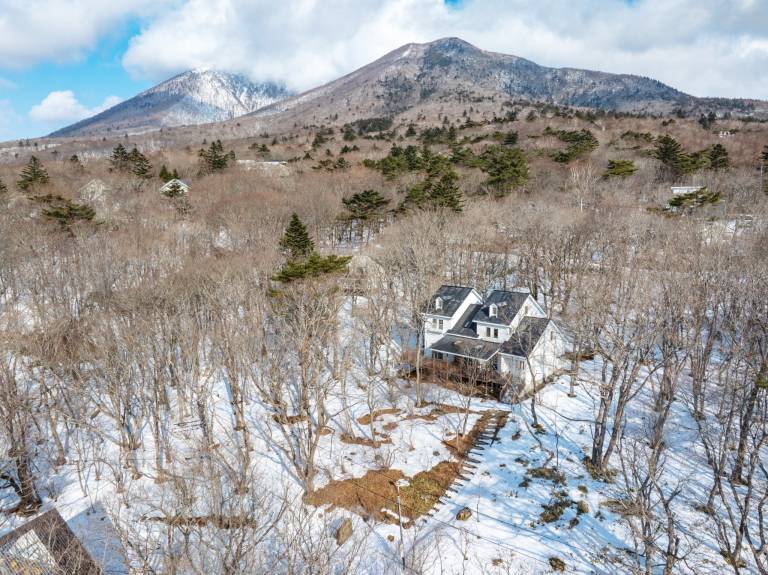 Enjoy 4000㎡ of forest all to yourself. BBQ, karaok in Nasu