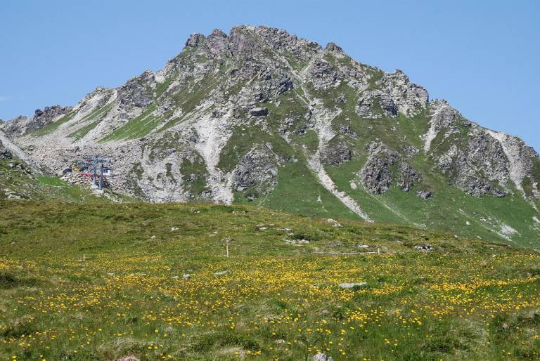 foto16