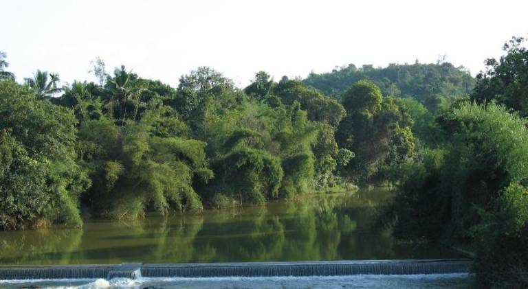 foto6