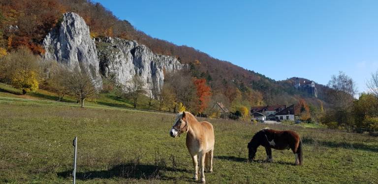 foto17