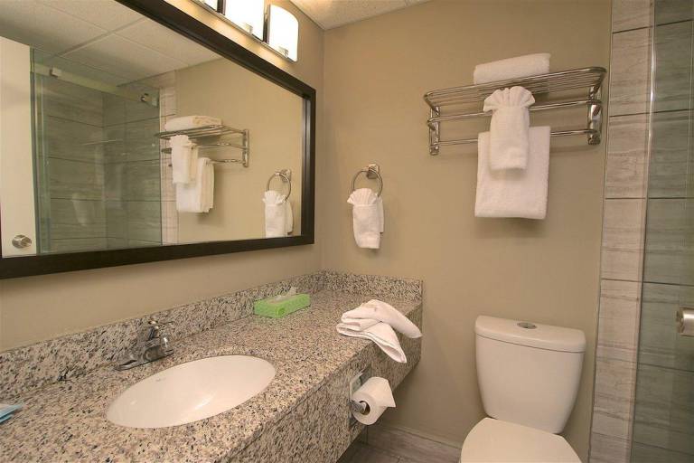 Medicine Hat Inn & Suites — photo 2
