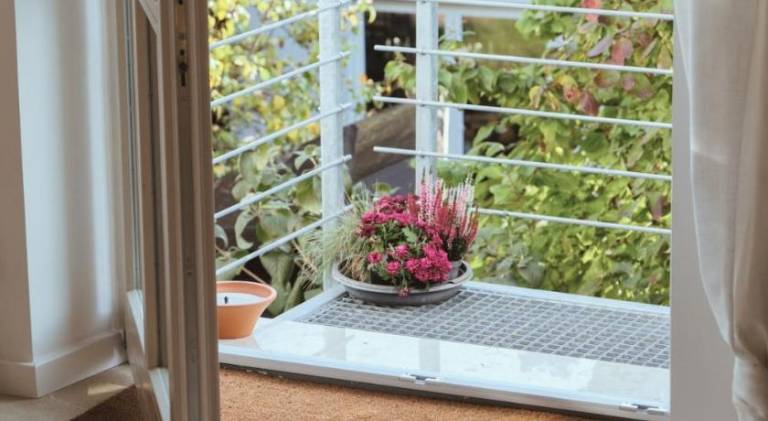 Wonderful holiday apartment | Dogs allowed — photo 3