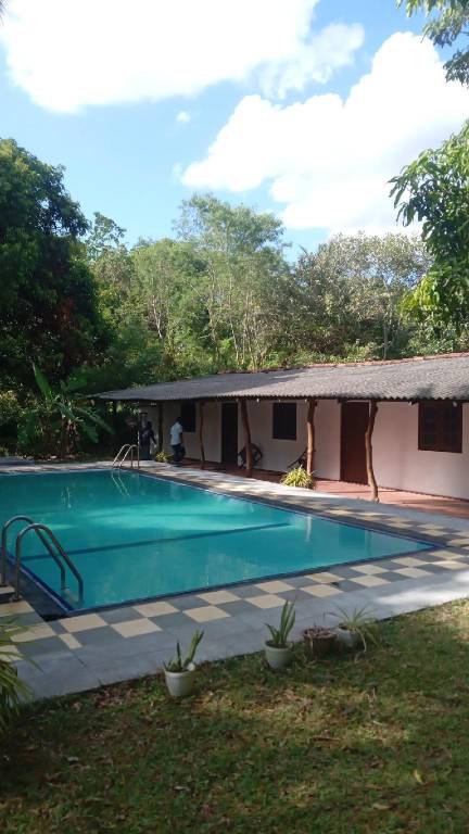 House with pool — photo 4