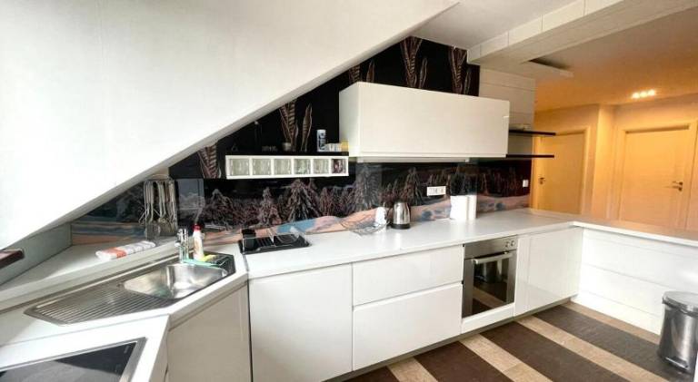 Beautiful apartment | Dogs allowed — photo 4