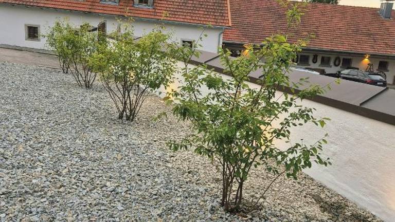 Ferienhaus Wegscheid