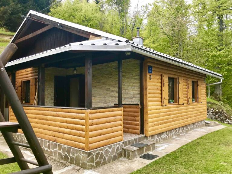 Chalet  Sunger