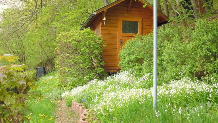Ferienwohnung Thal