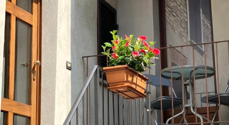 Holiday apartment with 1 room for 4 persons — photo 4
