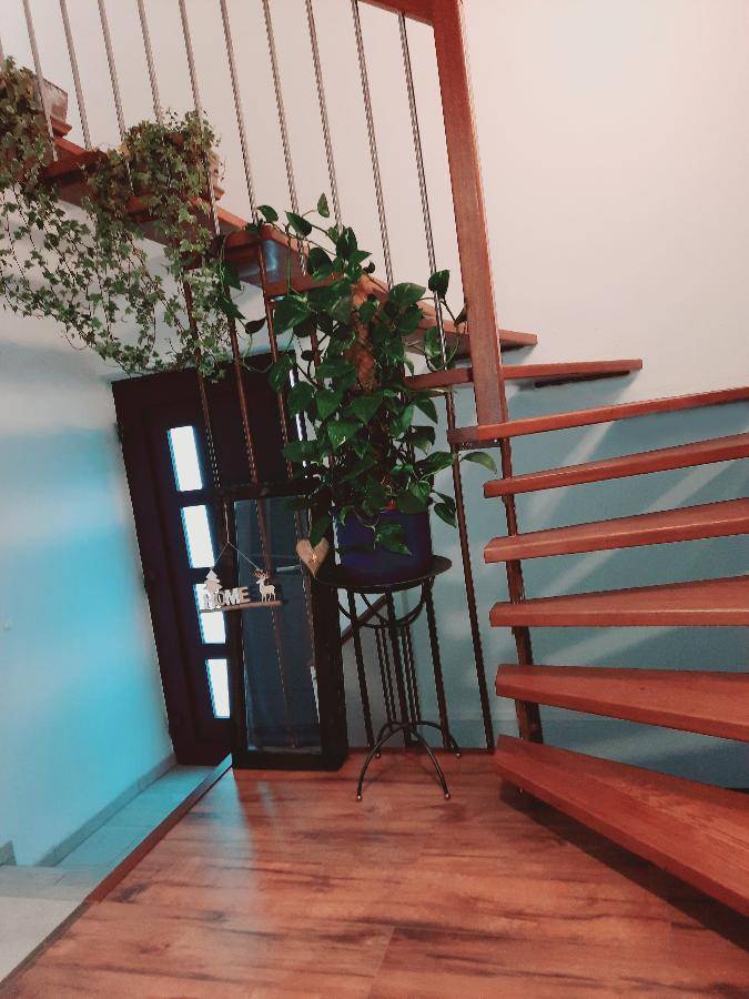 foto14