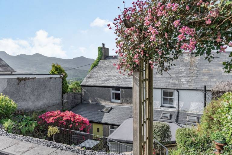 Cottage  Rhiwbryfdir