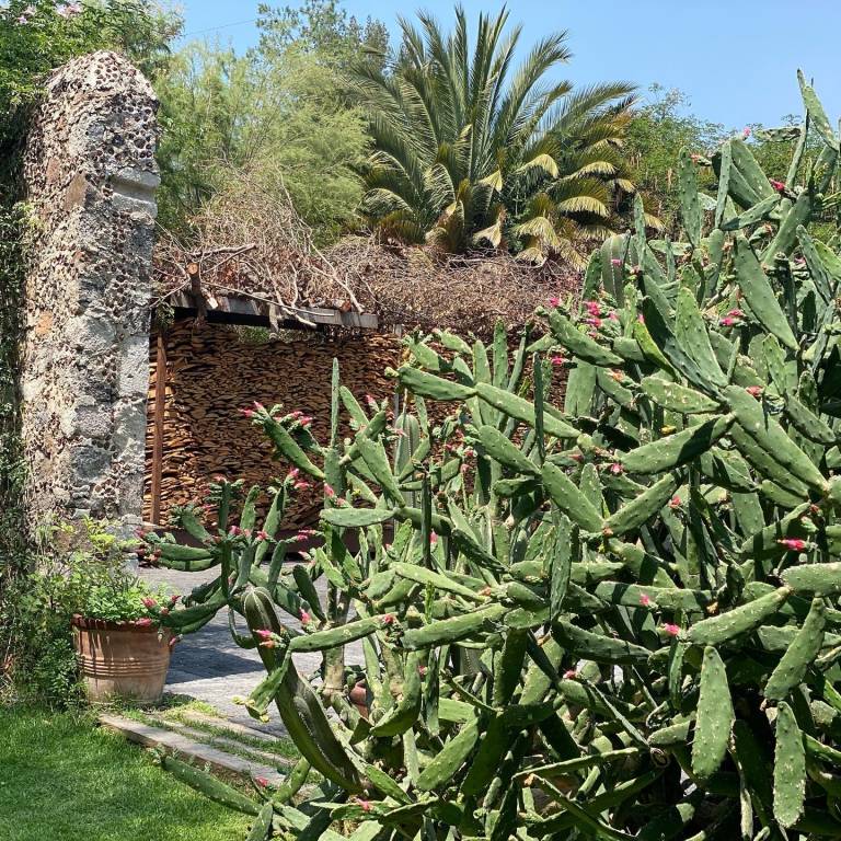 foto41