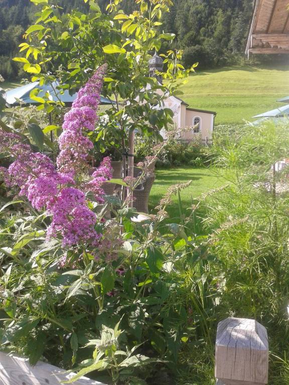 foto20