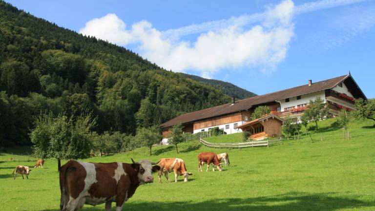 Ferienwohnung Bad Feilnbach