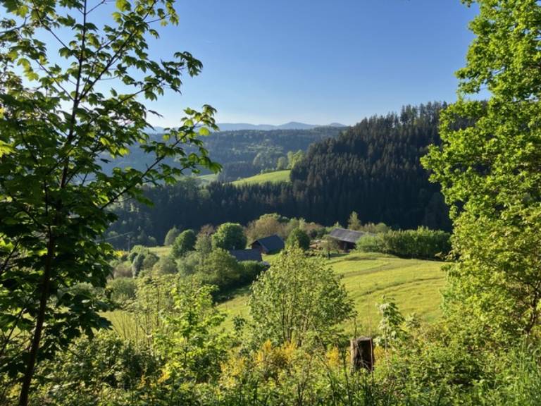 foto24
