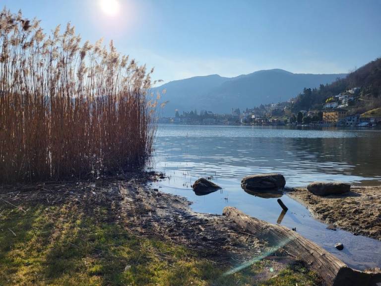 foto43