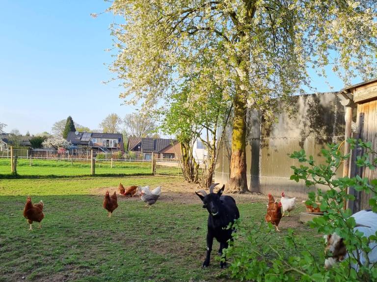 Ferienwohnung Greven