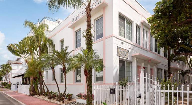 Pantera Rosa in Miami Beach, FL