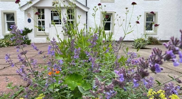 Hartfield House Hostel