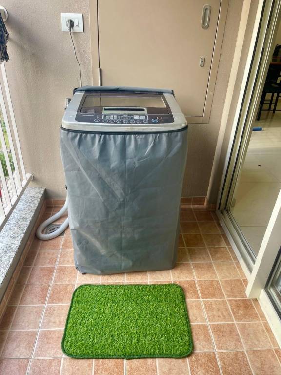 foto38