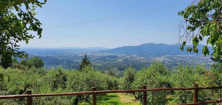 Farm with garden, hot tub & BBQ — photo 5