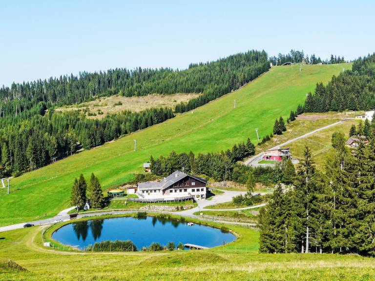 foto12