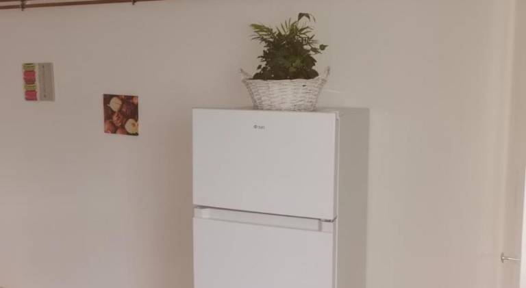 foto7