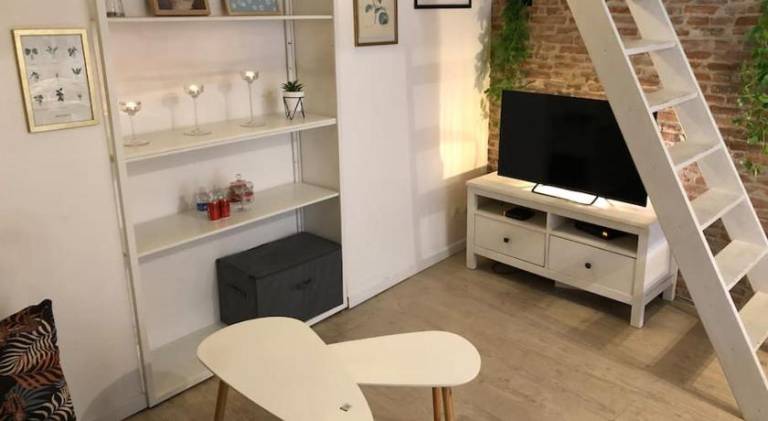Holiday apartment | Near Capitole de Toulouse in Toulouse