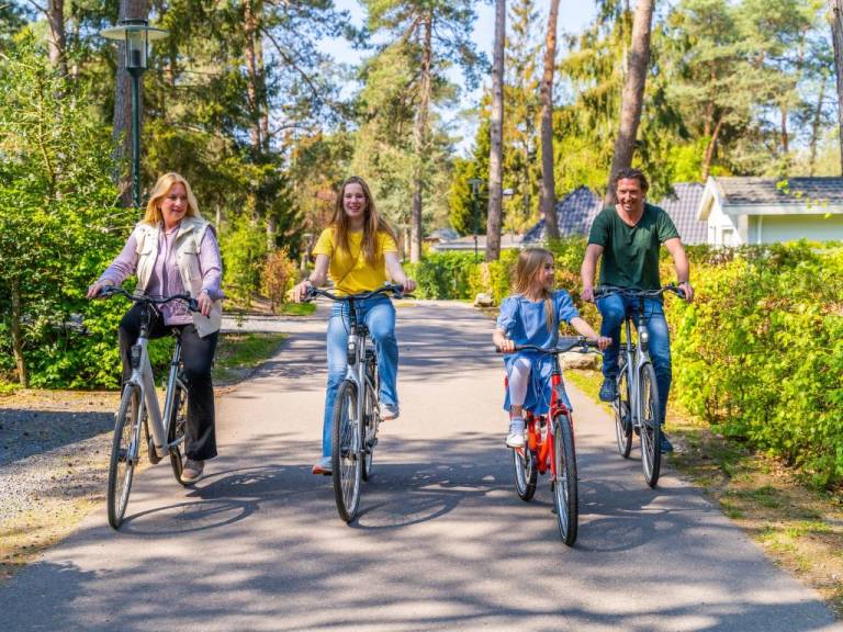 Ferienpark  Beekbergen-Zuid