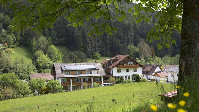 Ferienwohnung Baiersbronn