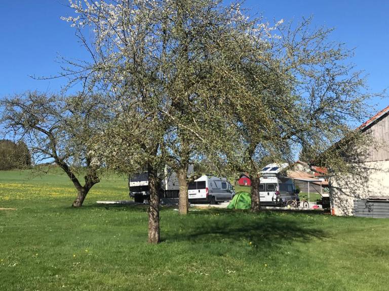 Mobile home with grill & yard | Pet-friendly — photo 5