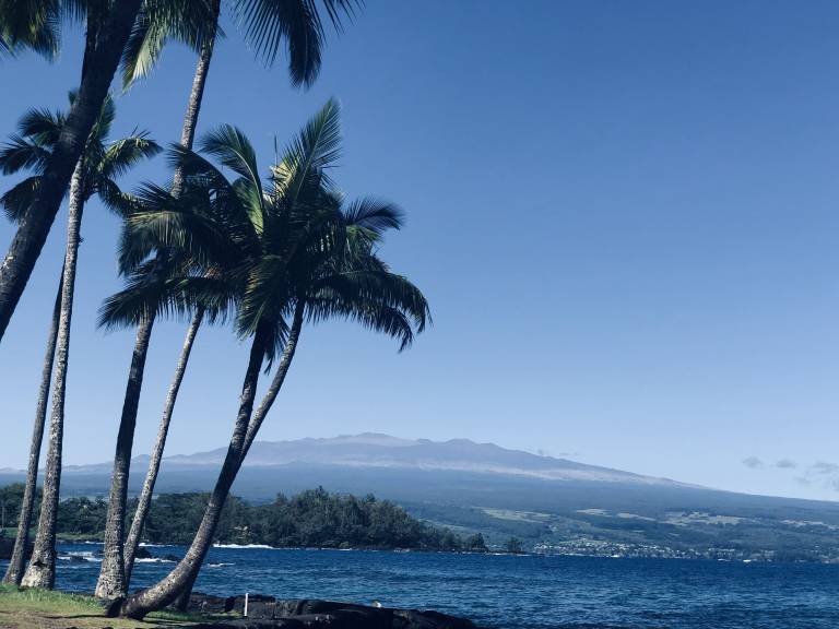 Bed & Breakfast Hilo