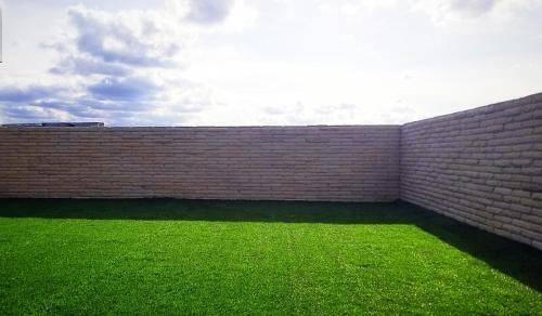 foto19