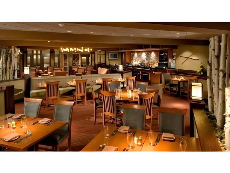 DoubleTree by Hilton Hotel Chicago - Arlington Heights — photo 3