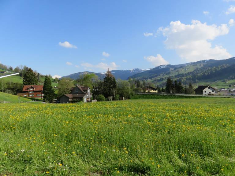 foto15