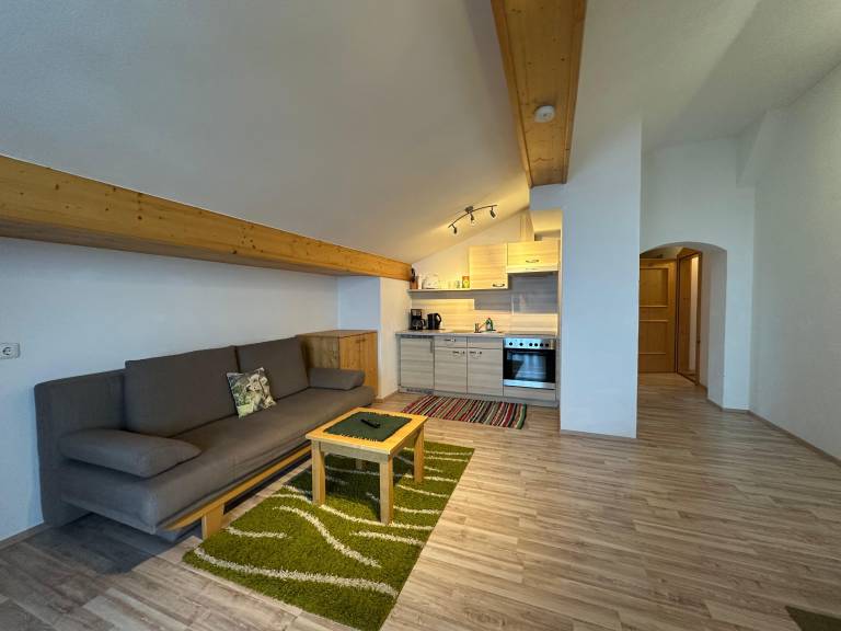 Apartment with garden — photo 4